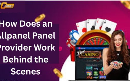 What Is an Allpanel Panel Provider & Why Do You Need One?