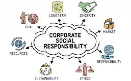 Understanding CSR Fund: A Key to Sustainable Development