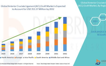 Global Anterior Cruciate Ligament (ACL) Graft Market Opportunities: Growth, Share, Value, Size, and Scope