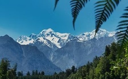 Visitor Visa Extension in New Zealand: Everything You Need to Know