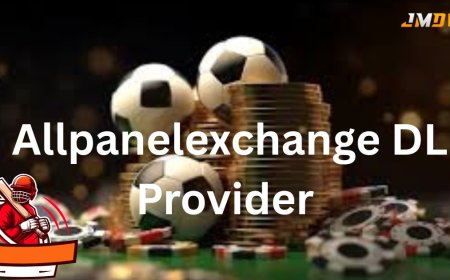 What features are offered by Allpanelexchange DL Provider?