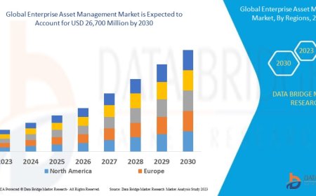 Global Enterprise Asset Management Market Graph: Growth, Share, Value, Size, and Insights
