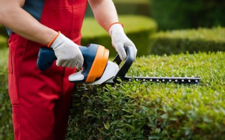 Smart Green Spaces: Practical Landscaping for Auckland’s Businesses