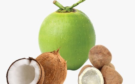 Is Coconut Water Good for Your Hair? A Complete Guide