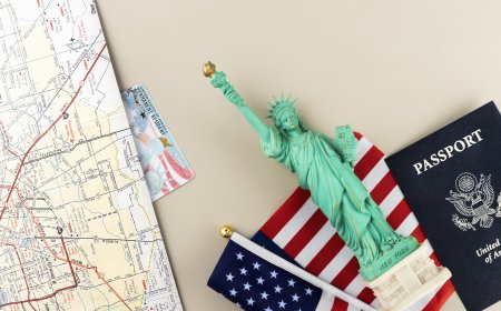 How to Trust Immigration Consultants