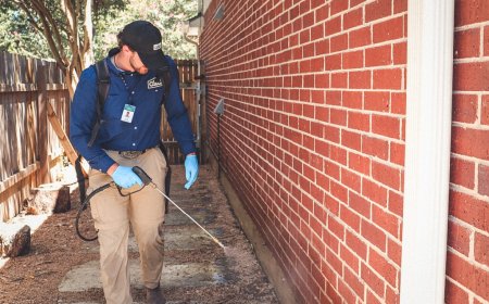 Best Pest Control Services in Washington | Pest Control Xpertz