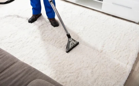 Looking for Results-Oriented Carpet Cleaning Service?