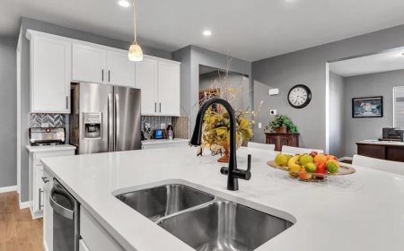 Best 4-in-1 Kitchen Faucet System | AquaNuTech