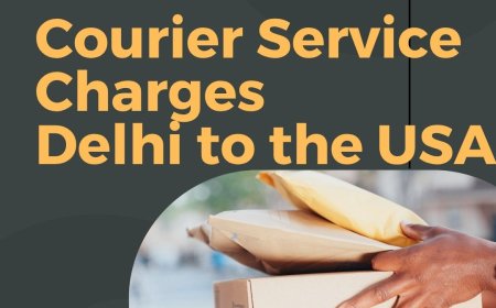 How to Calculate Delhi to USA Courier Charges?