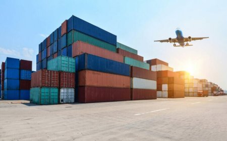 Everything You Need to Know About Customs Clearance for Small Businesses in the UAE