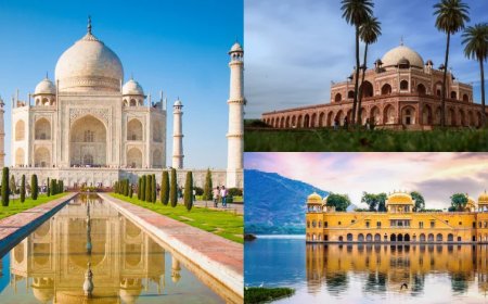 Mathura Group Tour Package from Ahmedabad |TripSpray