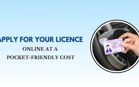 Apply for Your driving Licence Online at a Pocket-Friendly Cost
