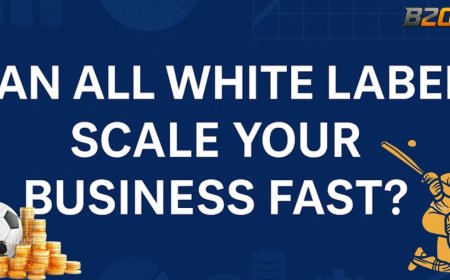 Can All White Label Scale Your Business Fast? – B2CPanel
