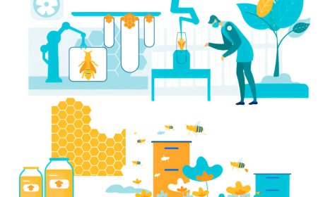 Revolutionizing Beekeeping: IoT Beehive Monitoring System for Smarter and Safer Hives