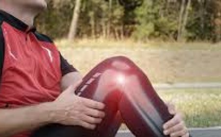 Posterior Cruciate Ligament Injury: Causes, Care & Recovery