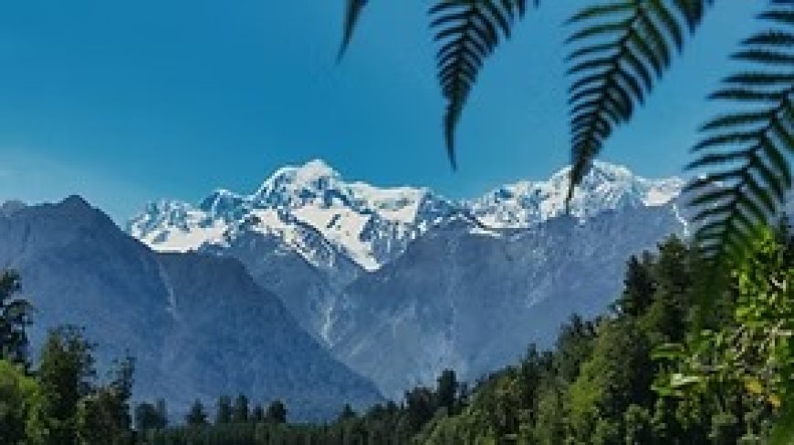 Visitor Visa Extension in New Zealand: Everything You Need to Know