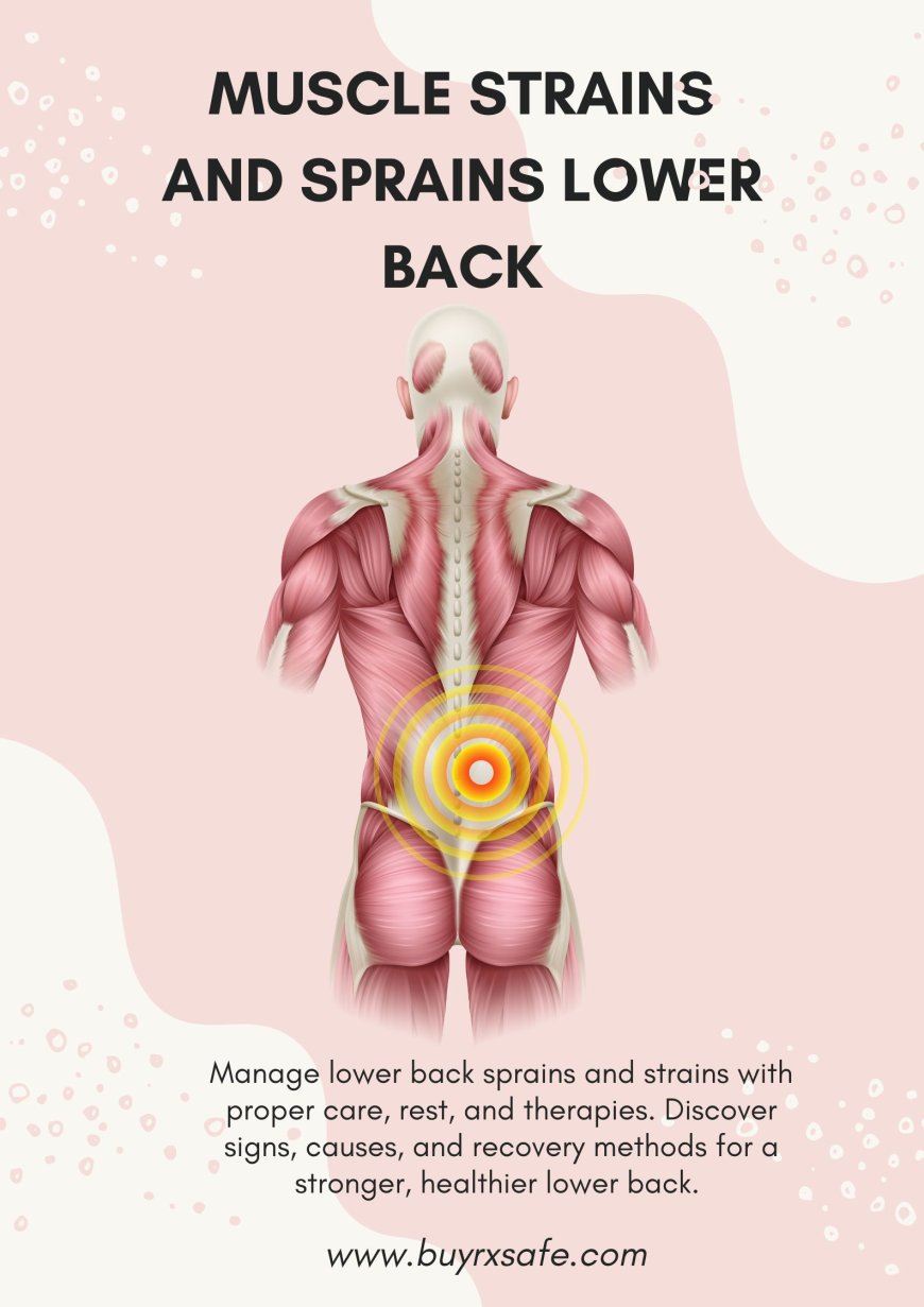 Acute vs. Chronic Lower Back Strains: What You Need to Know