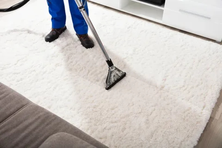 Looking for Results-Oriented Carpet Cleaning Service?