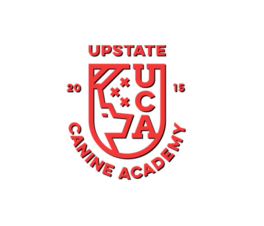 How to Train a Puppy: The First 8 Weeks Made Easy