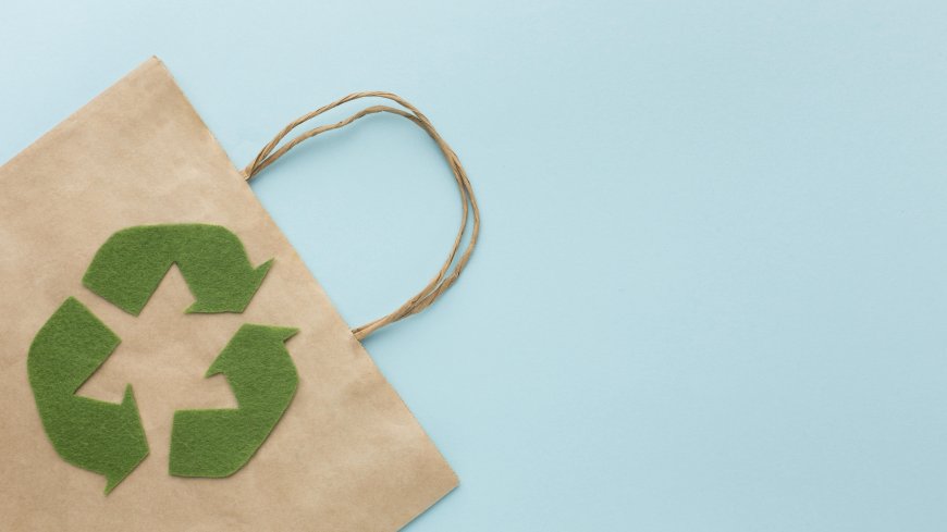 How Schools Can Benefit from Eco Friendly Products